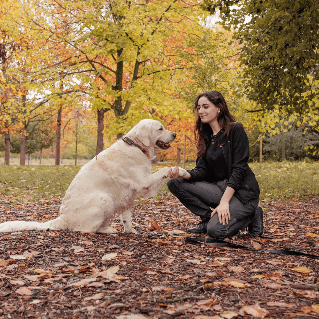 petsitter diplômé Chambéry Aix-les-Bains et alentours